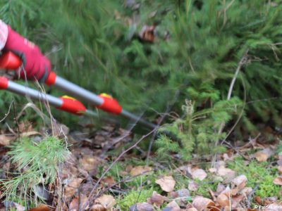 AKTUELL: Ehrenamtseinsatz im Juli