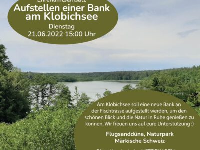 Ehrenamtseinsatz am 21.06.: Aufstellen einer Bank am Klobichsee