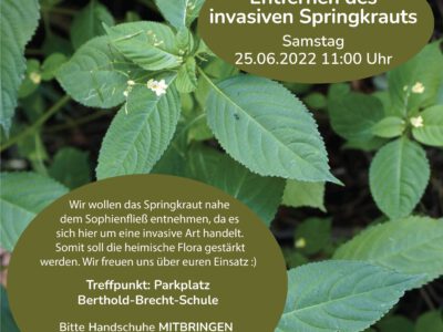 Ehrenamtseinsatz am 25.26.: Entfernen von Springkrau