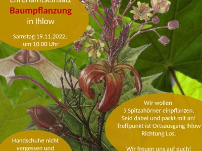 Ehrenamtseinsatz am 19.11.: Pflanzaktion in Ihlow