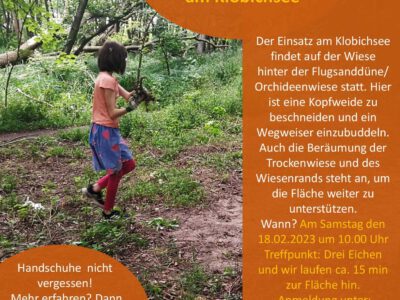 Ehrenamtseinsatz am 18.02.: auf der Trockenwiese am Klobichsee