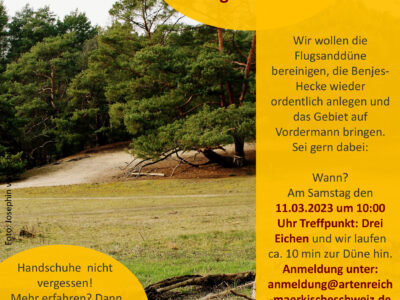 Ehrenamtseinsatz am Samstag 11.03 auf der Flugsanddüne