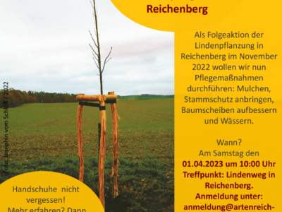 Ehrenamtseinsatz am 01.04. zur Baumpflege am Lindenweg