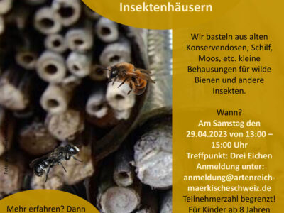 Bastelaktion von Bienen- und Insektenhäusern  am Samstag 29.04.23