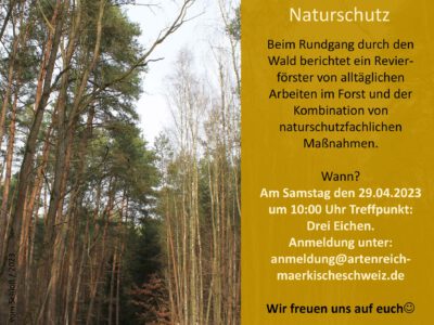 Ehrenamtseinsatz am 29.04.2023 zum Aktionstag mit offenen Werkstätten und einer <strong>Themenwanderung: Forstwirtschaft und Naturschutz</strong>